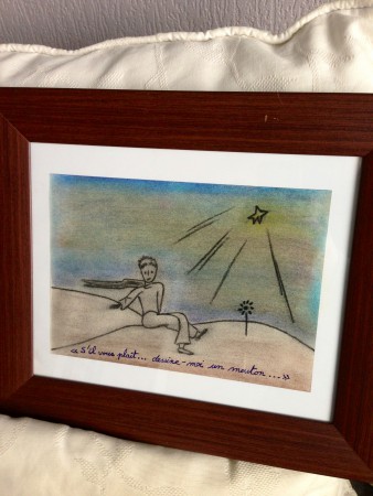 "Le petit prince" une de mes premières lecture !!! de St Exupéry 